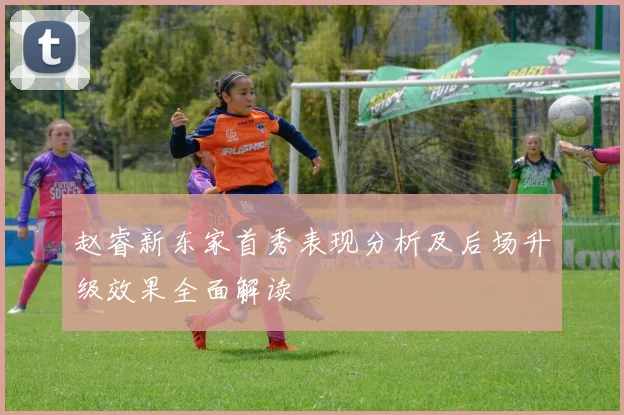赵睿新东家首秀表现分析及后场升级效果全面解读