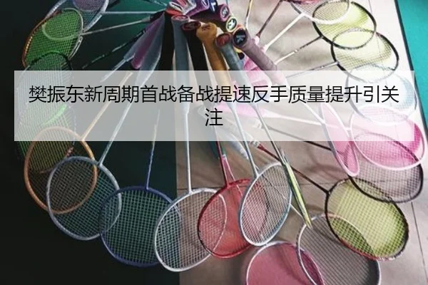 樊振东新周期首战备战提速反手质量提升引关注